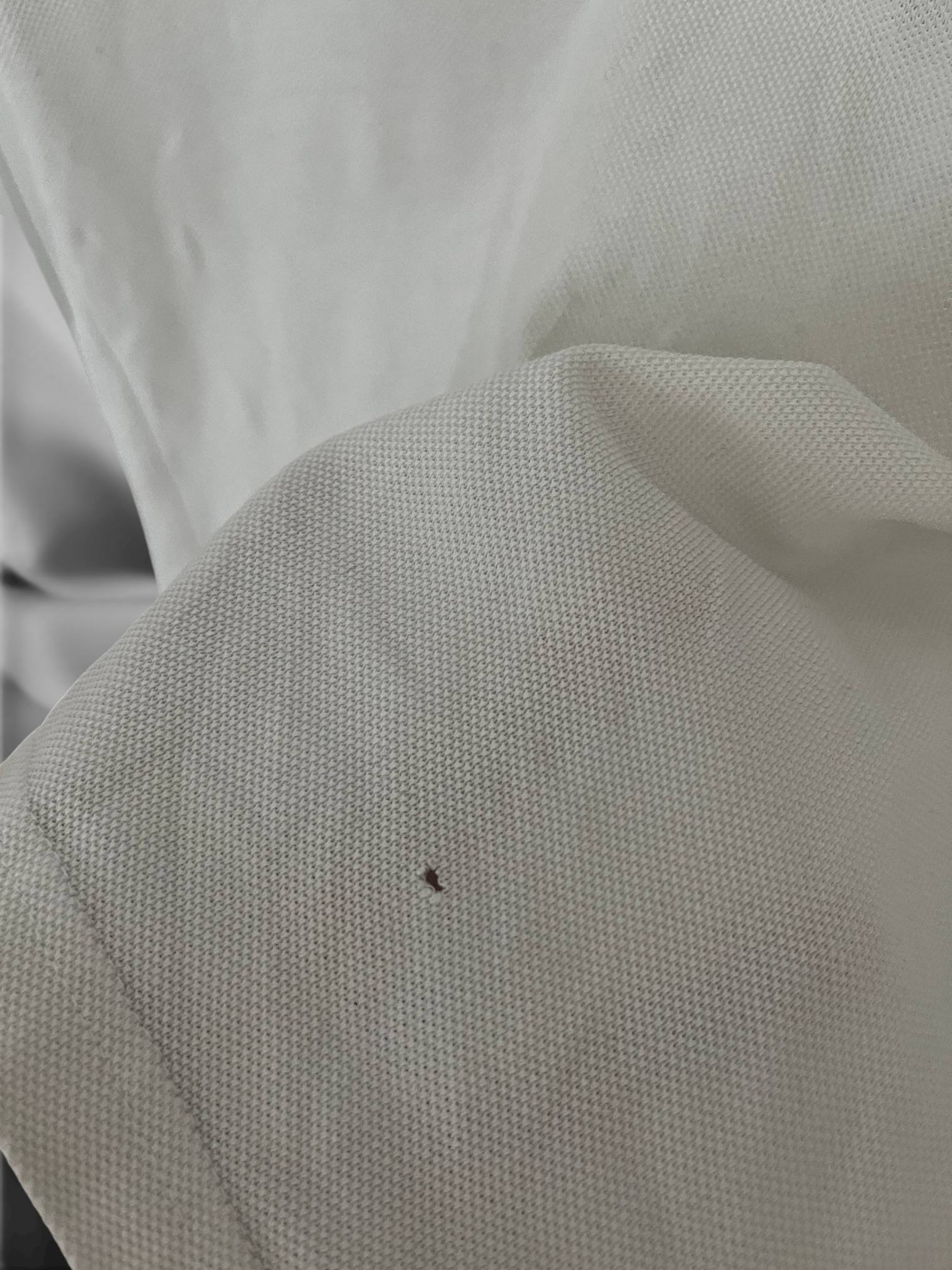 Moncler Polo