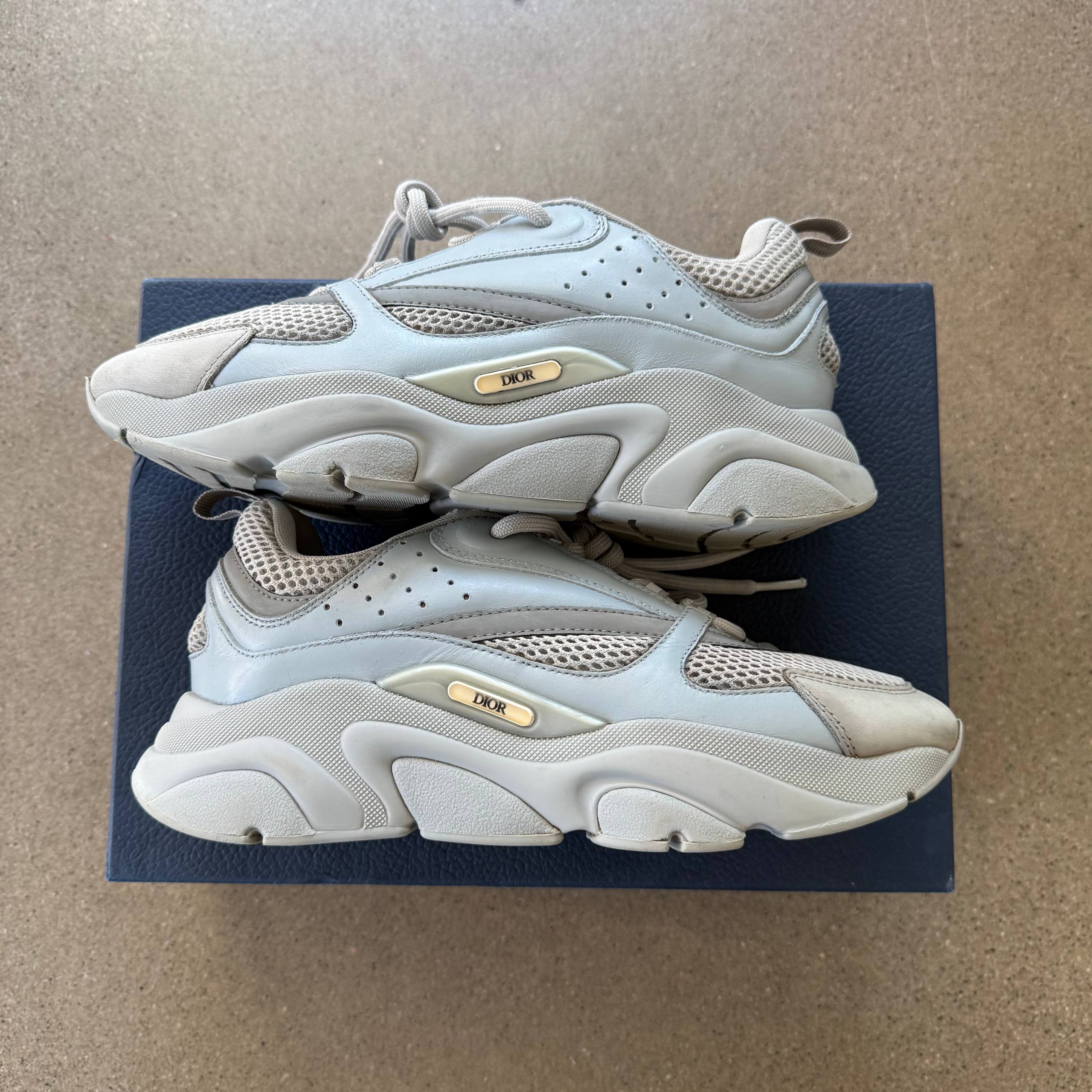 Dior B22